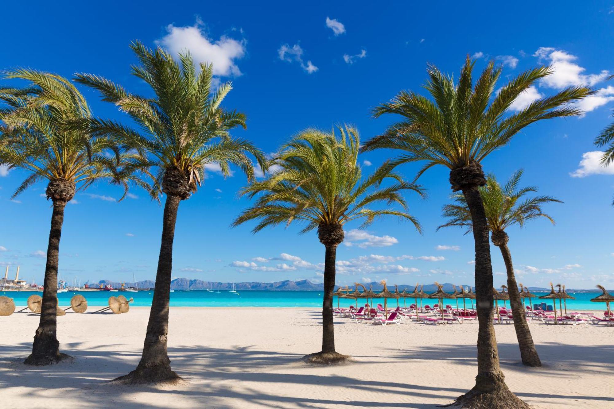 Oscols Villa Alcudia (Mallorca)