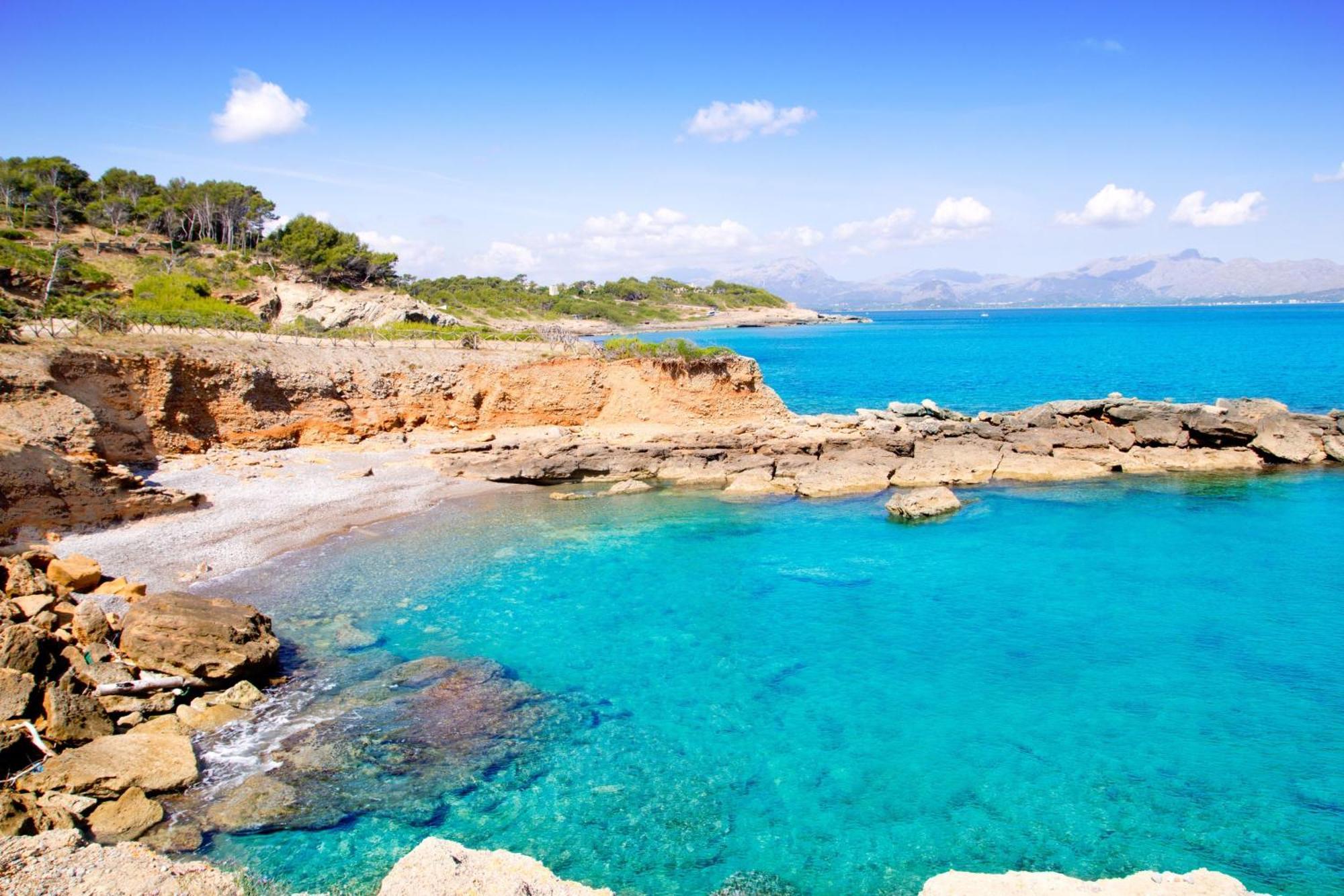 Oscols * Alcudia (Mallorca)