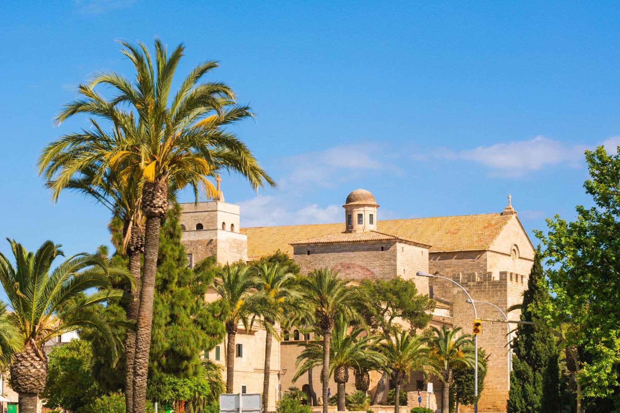 Oscols * Alcudia (Mallorca)